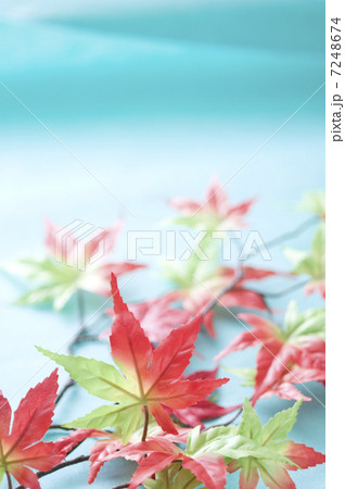 紅葉のイメージ 7248674