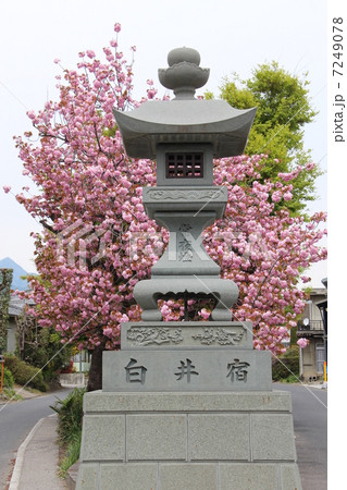 白井宿 白井宿 7249078