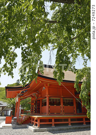 富士山本宮浅間大社 富士山本宮浅間大社 7249273