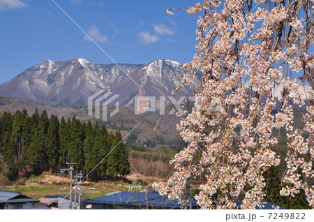 春の風景 7249822