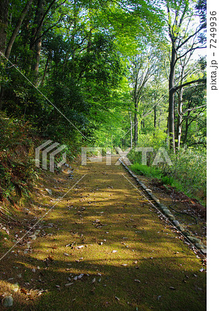 万葉ロマンが潜む遊歩道 万葉ロマンが潜む遊歩道 7249936