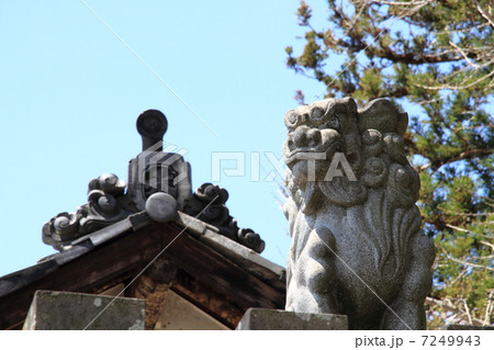神社の狛犬 7249943