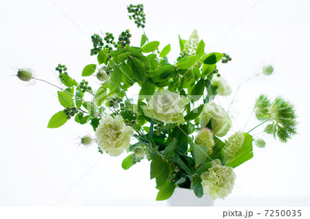 緑色の花束 7250035