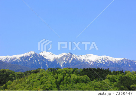 中川村の新緑と雪山 7250447