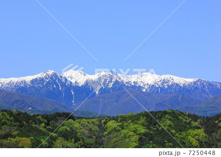 中川村の新緑と雪山 中川村の新緑と雪山 7250448