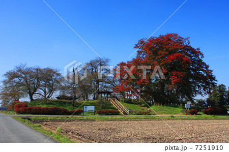 神指城跡(こうざしじょうあと) 神指城跡(こうざしじょうあと) 7251910