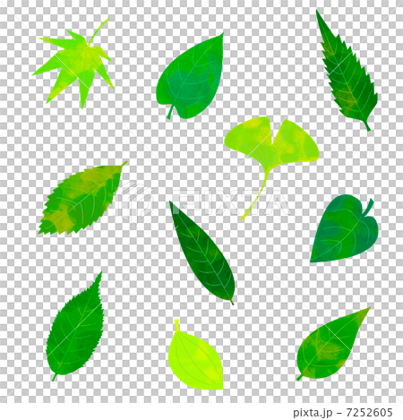 葉っぱのイラスト素材