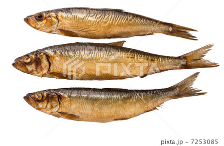 brown smoked trunk fish on white background 7253085