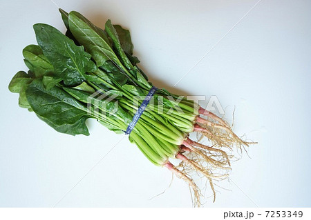 京ほうれん草 7253349