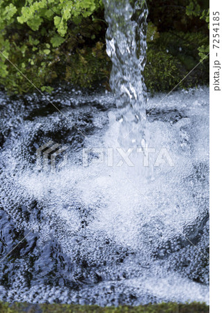 島原湧水群の名水 7254185