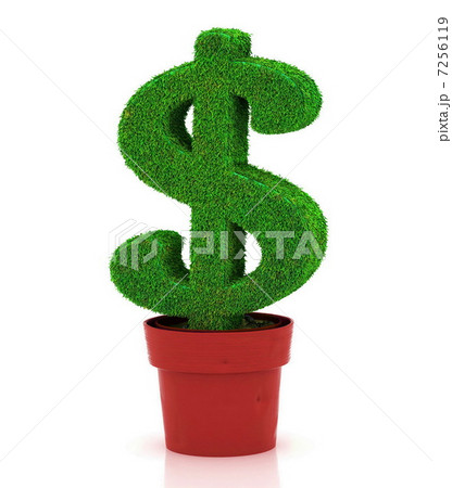 sign of dollar, growing in a flowerpot 7256119