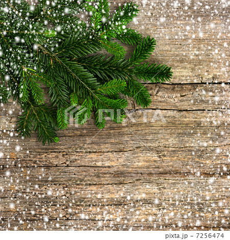 fir tree branch with snowflakes frame fir tree branch with snowflakes frame 7256474