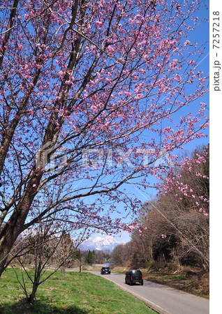 春の風景 春の風景 7257218