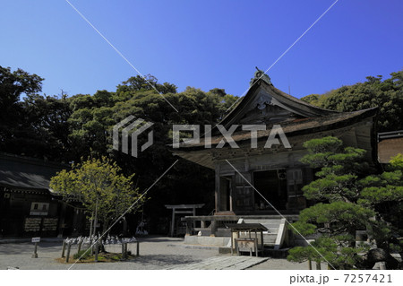 初夏の気多大社 7257421