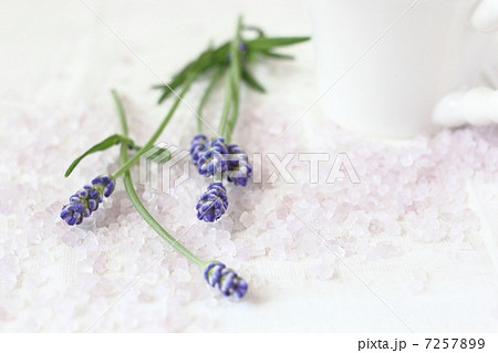 ラベンダーとバスソルト 7257899