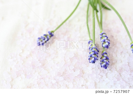 ラベンダーとバスソルト 7257907