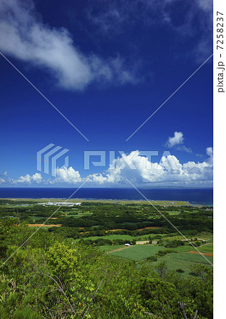 真夏の笠利の風景 真夏の笠利の風景 7258237