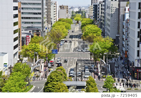 仙台、宮城野通り 7259405