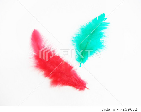 赤い羽根と緑の羽根 7259652
