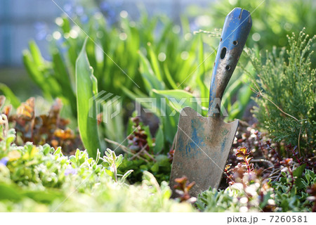 garden tools 7260581