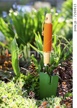 garden tools 7260615