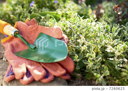 garden tools 7260625