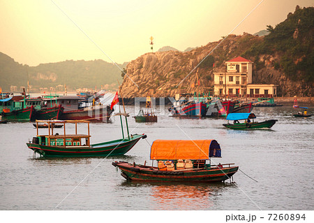 Halong Halong 7260894