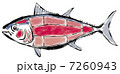 マグロ部位図名称なし 7260943