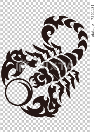 Scorpion 7261181