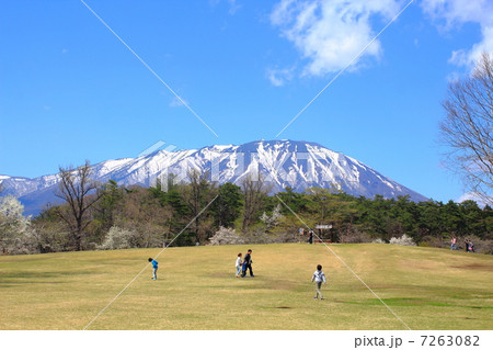小岩井農場 7263082