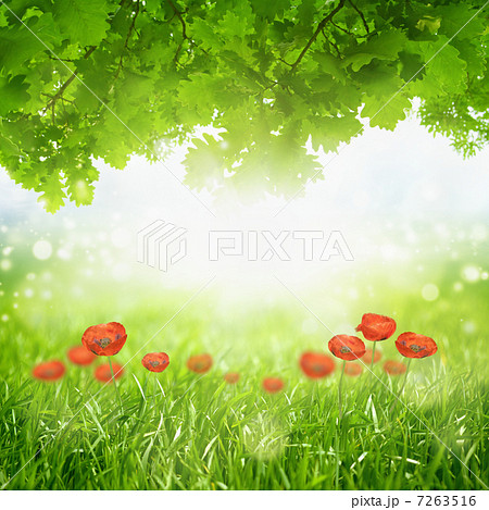 Green eco background 7263516