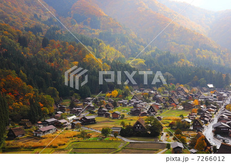 紅葉の白川郷 紅葉の白川郷 7266012