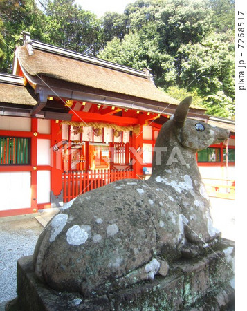 大原野神社 7268517