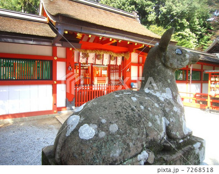 大原野神社 大原野神社 7268518