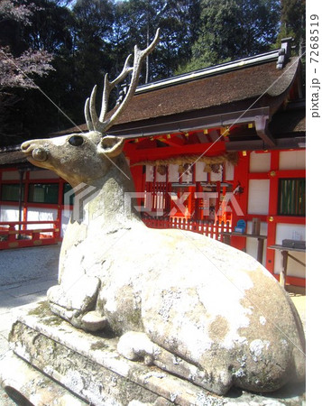 大原野神社 7268519