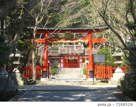 大原野神社 7268528