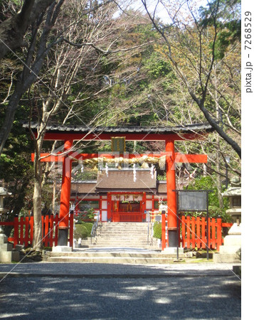 大原野神社 大原野神社 7268529