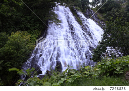 知床・オシンコシンの滝 7268828