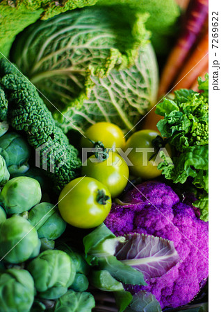 野菜 7269622