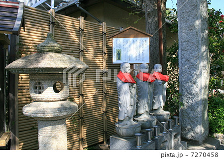 湘南七福神寿老人が祀られている光照寺を訪れて 湘南七福神寿老人が祀られている光照寺を訪れて 7270458
