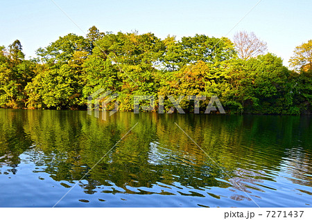 新緑の中の「玉淀湖」(埼玉県大里郡寄居町) 新緑の中の「玉淀湖」(埼玉県大里郡寄居町) 7271437