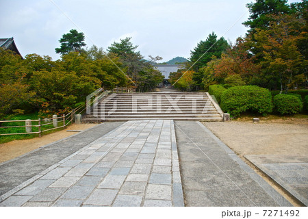 仁和寺の境内（京都市右京区御室／京都府） 7271492