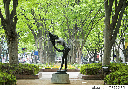 仙台市、定禅寺通り 7272276