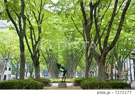 仙台市、定禅寺通り 7272277