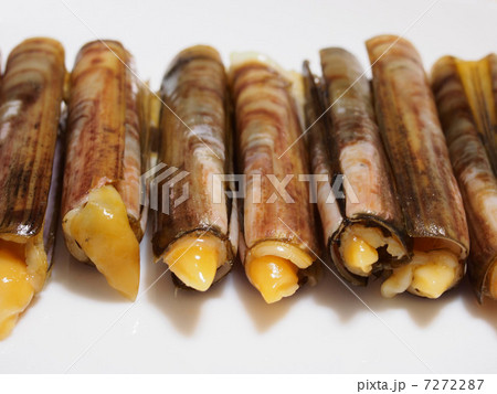 マテガイ 7272287