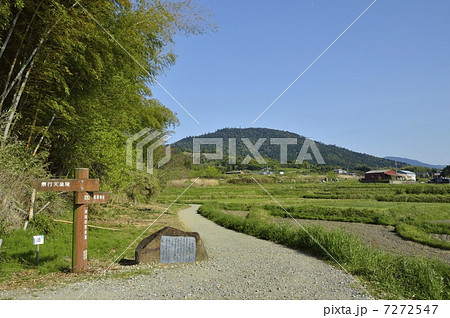 山の辺の道　額田王歌碑 7272547