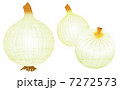 水彩風 皮むきしたたまねぎ 7272573