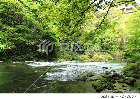 山中温泉渓流散策 7272657