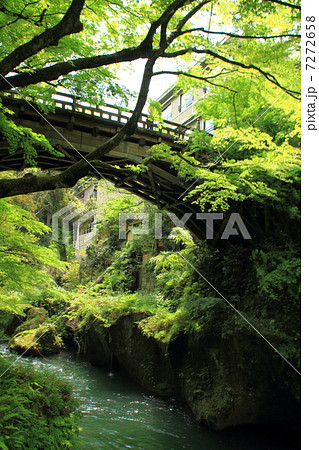 山中温泉渓流散策 7272658