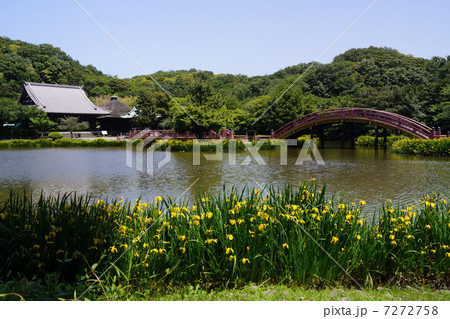 称名寺 称名寺 7272758